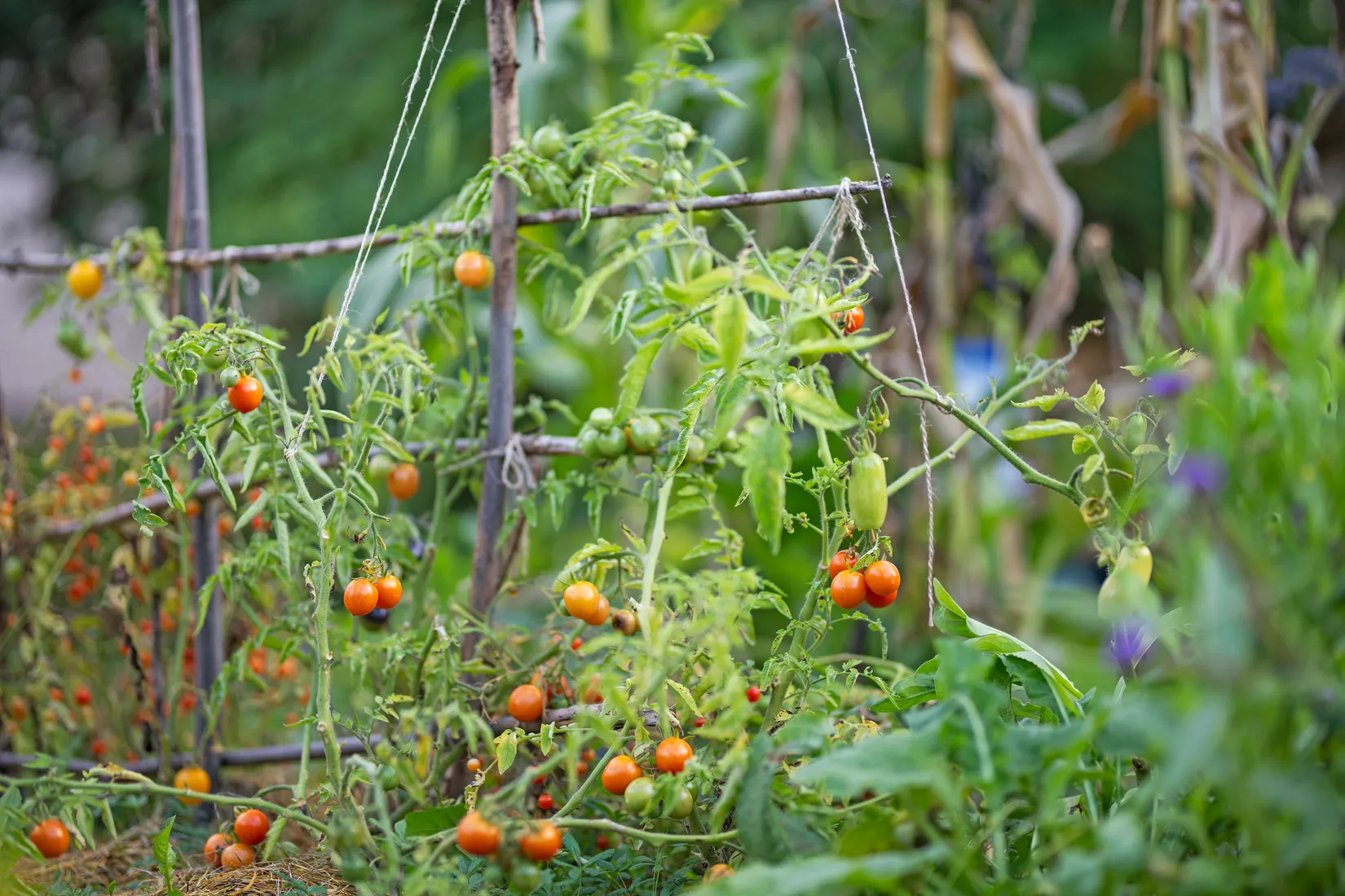 Villa, Radhus, Kälkvägen 37, Valsätra, Uppsala