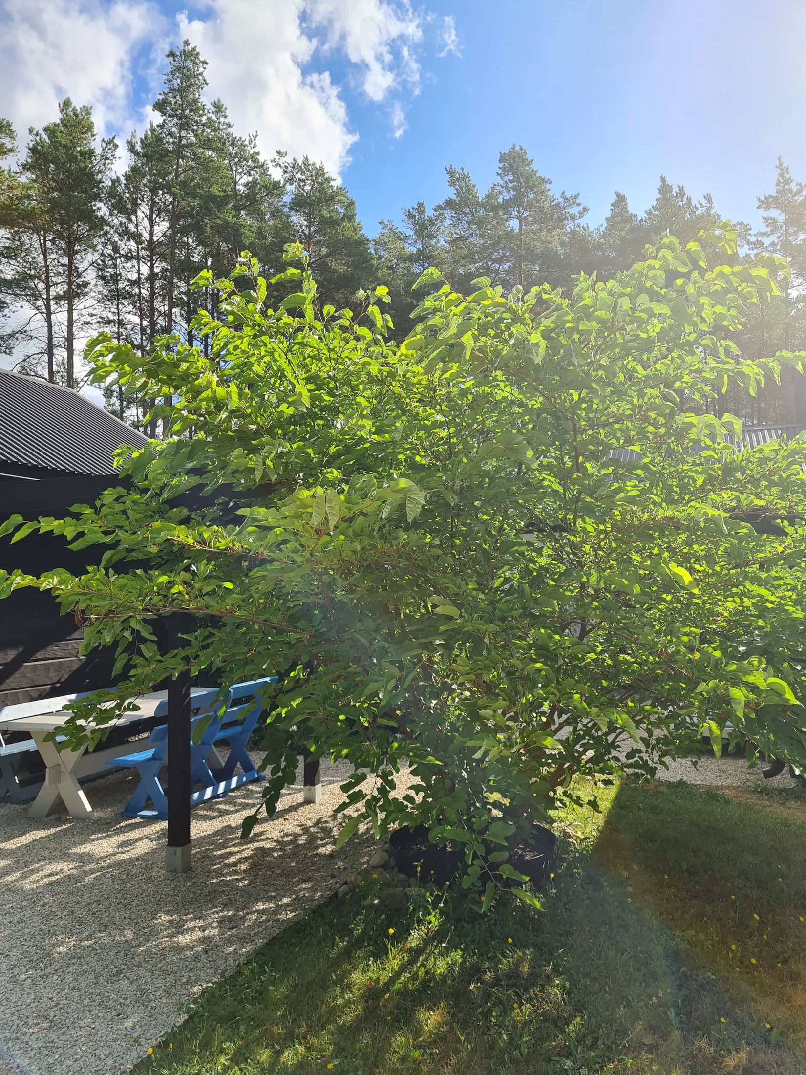Villa, Hangvar Kassle 812, Hangvar, Gotland
