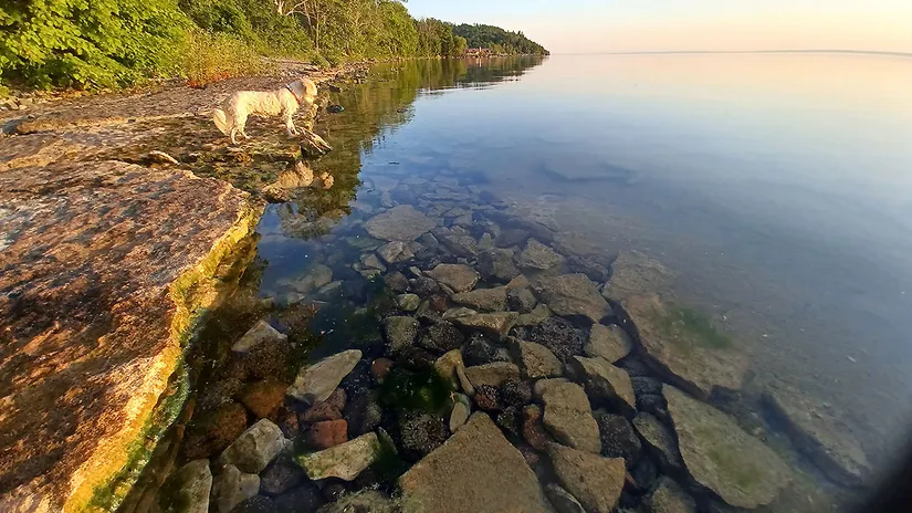 Villa, Hovanäsvägen 7, Östergötland, Vadstena