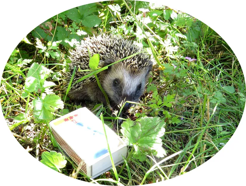 Villa, Hovanäsvägen 7, Östergötland, Vadstena