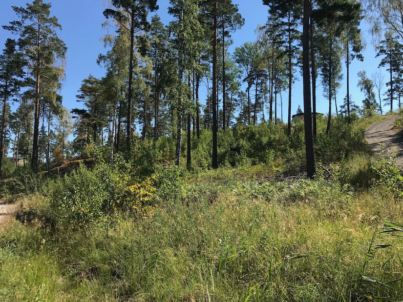 Tomt, Timrarövägen 14, Timrarö, Österåker