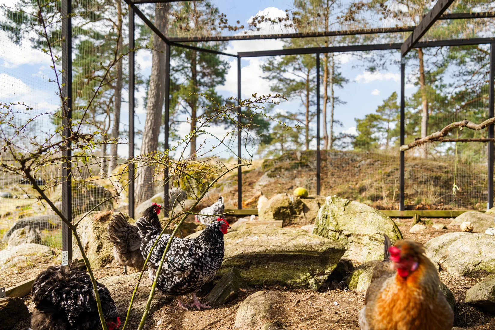 Villa, Hjärtstocksvägen 4, Värmdö - Norra Kopparmora, Värmdö