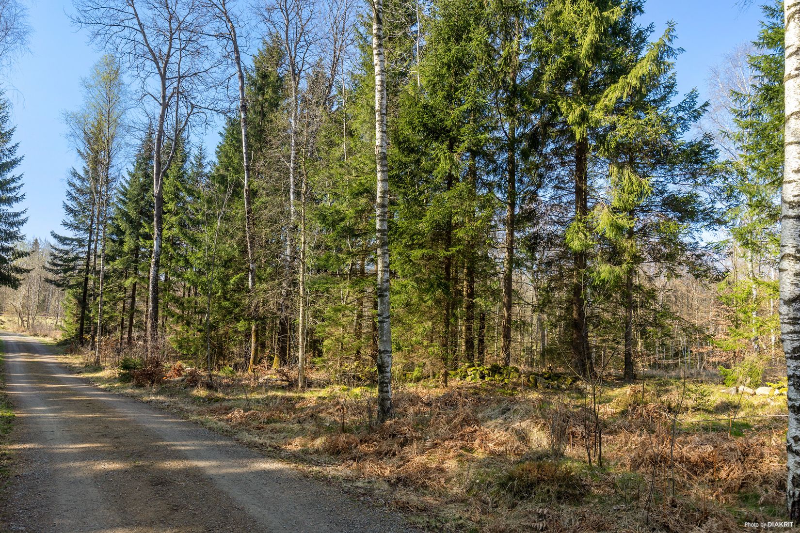 Tomt, Bygg drömboendet i Eket – med naturen som närmsta granne, Eket, Örkelljunga