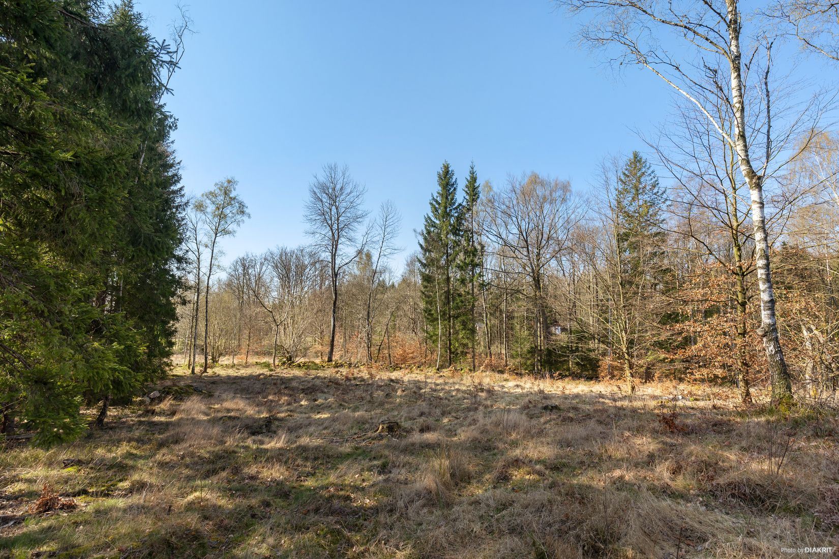 Tomt, Bygg drömboendet i Eket – med naturen som närmsta granne, Eket, Örkelljunga
