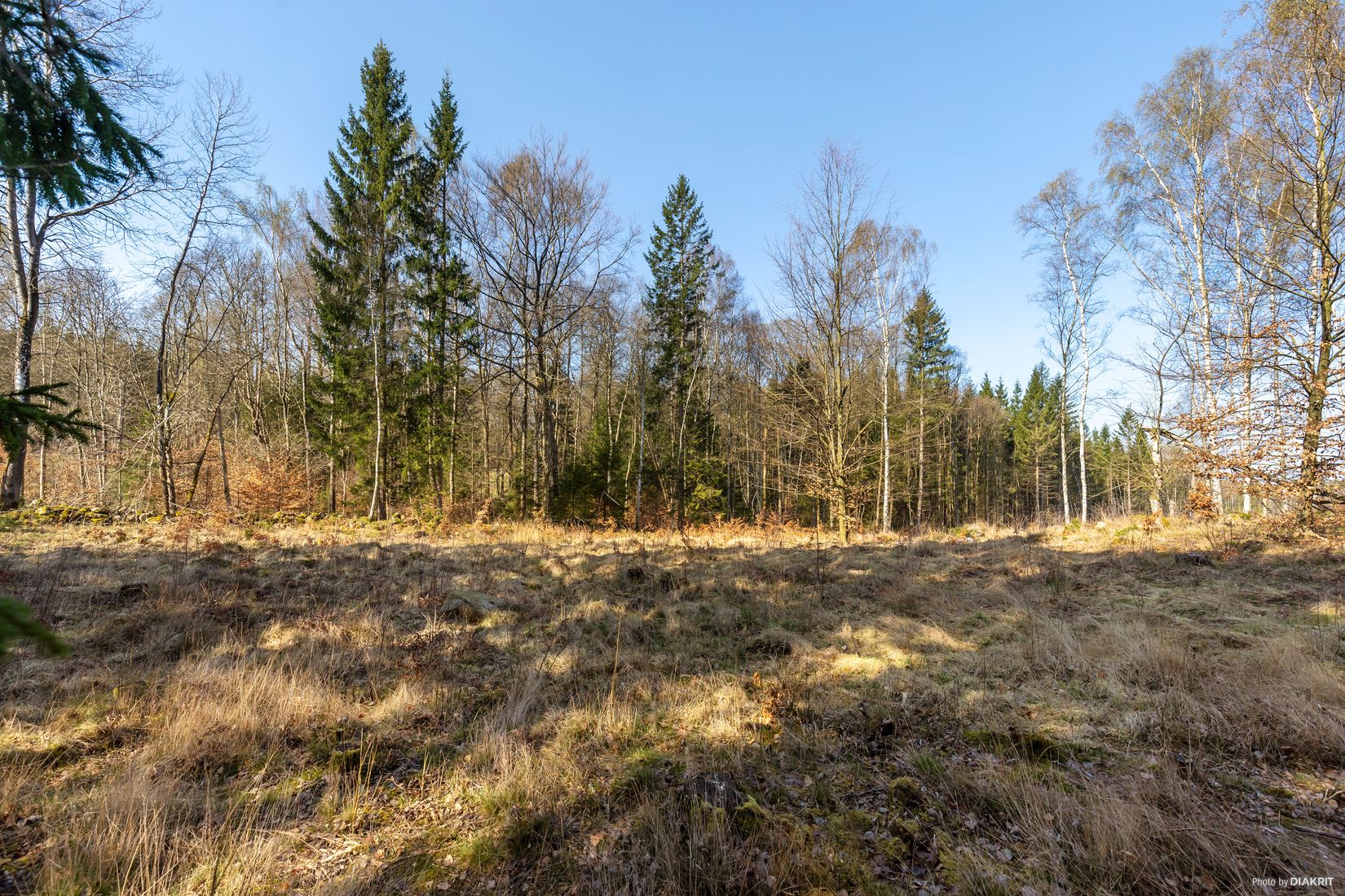 Tomt, Bygg drömboendet i Eket – med naturen som närmsta granne, Eket, Örkelljunga