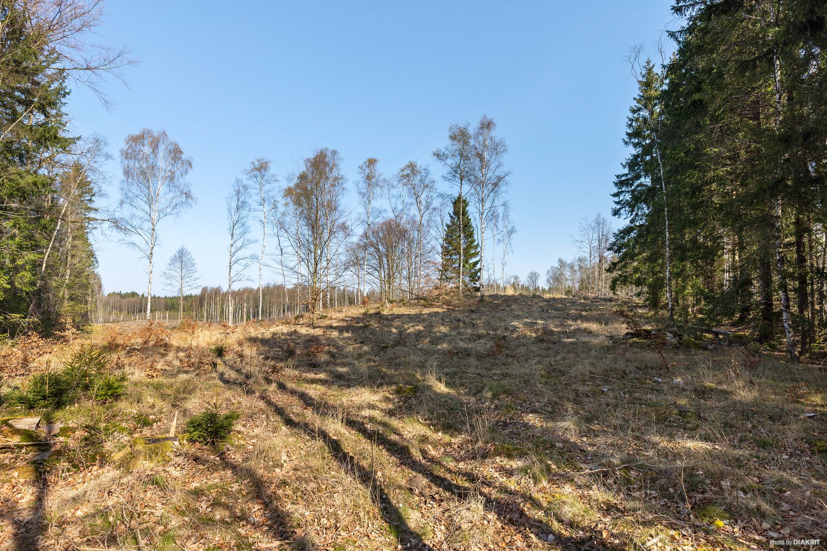 Tomt, Bygg drömboendet i Eket – med naturen som närmsta granne, Eket, Örkelljunga