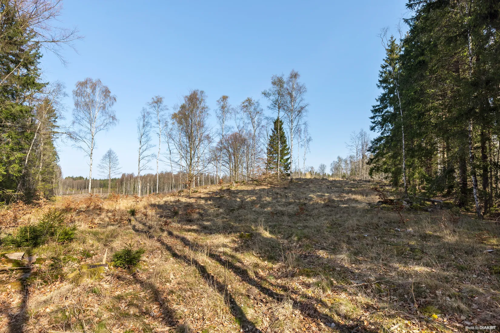Tomt, Bygg drömboendet i Eket – med naturen som närmsta granne, Eket, Örkelljunga