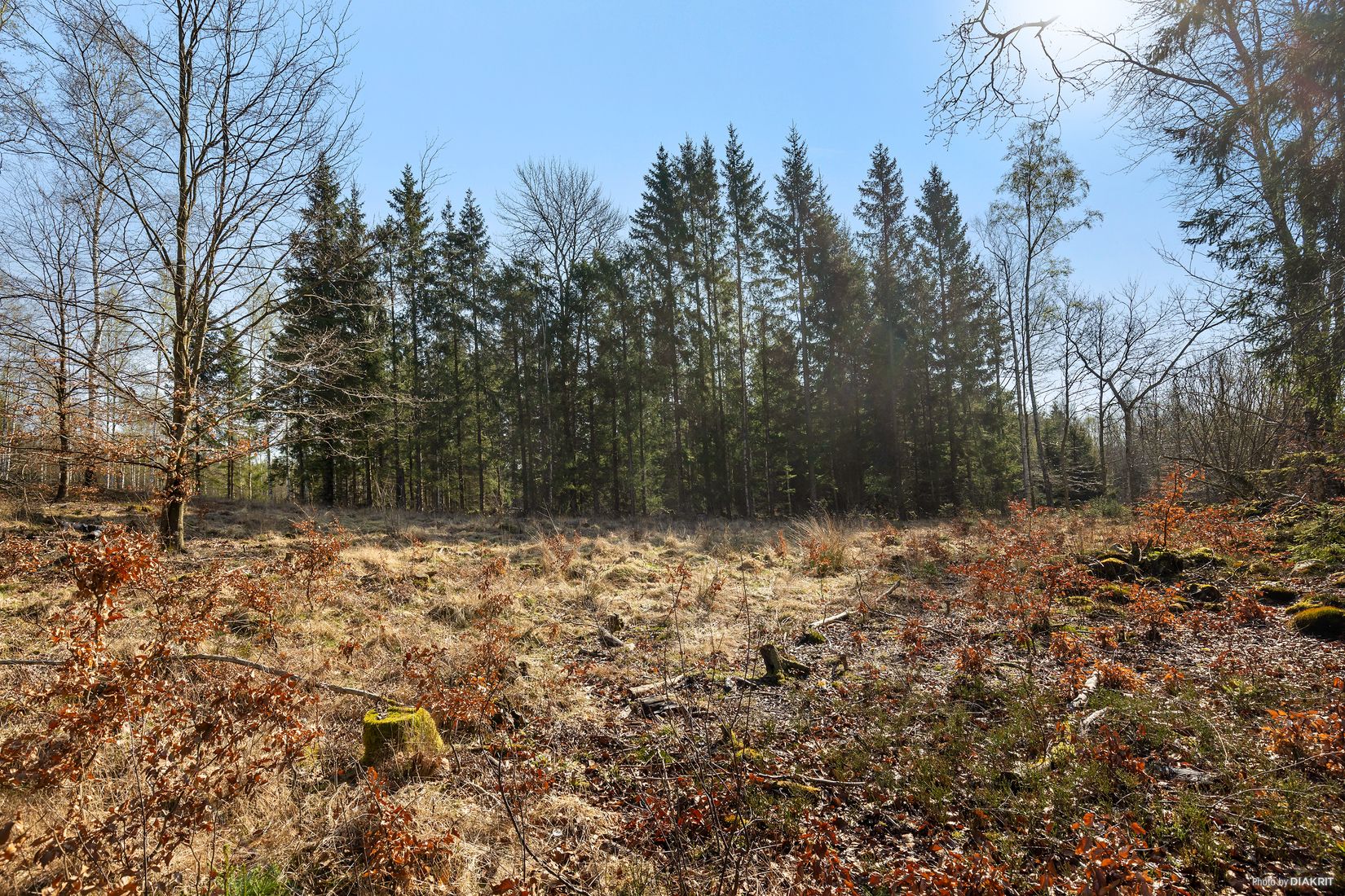 Tomt, Bygg drömboendet i Eket – med naturen som närmsta granne, Eket, Örkelljunga