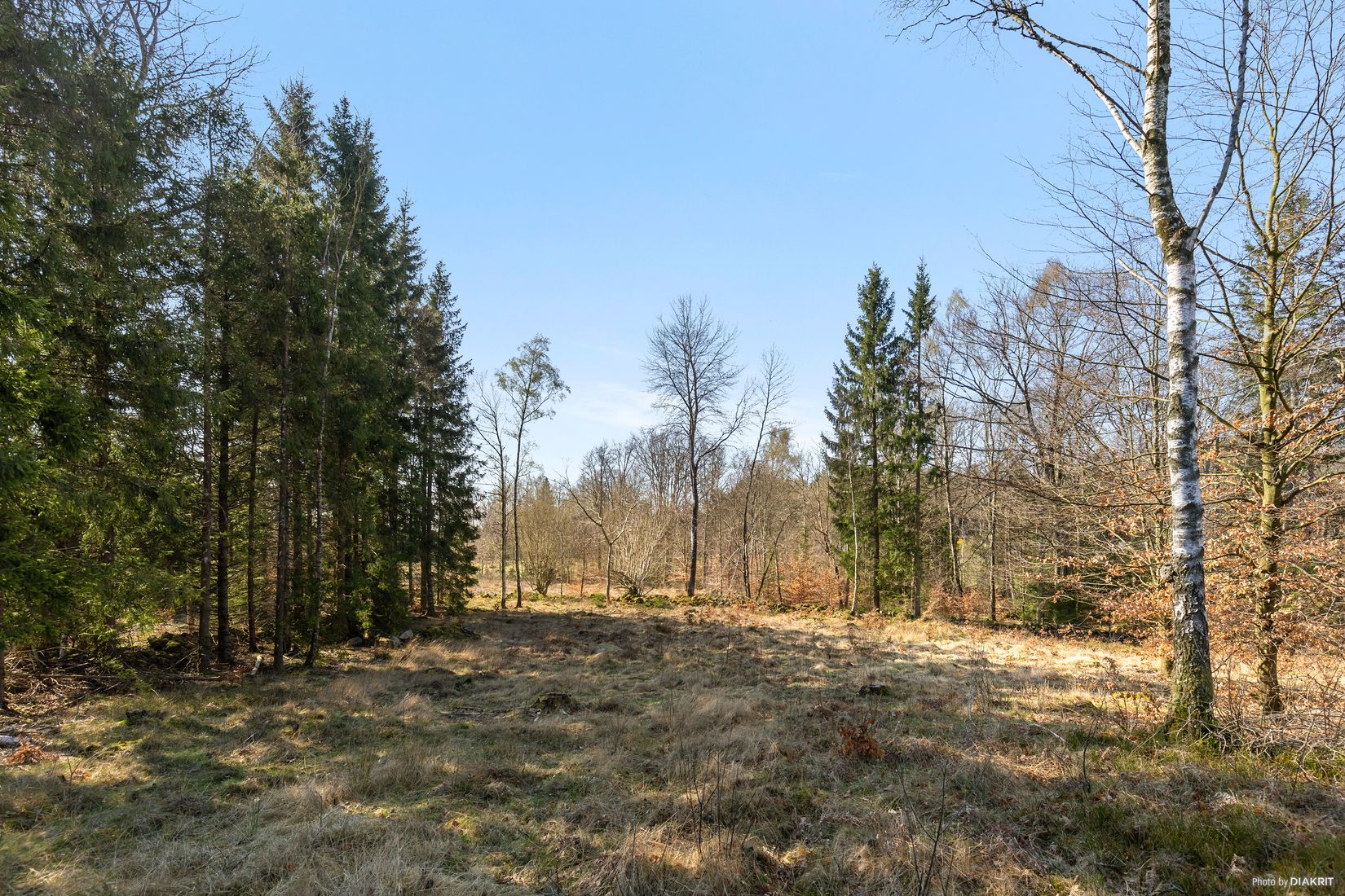 Tomt, Bygg drömboendet i Eket – med naturen som närmsta granne, Eket, Örkelljunga