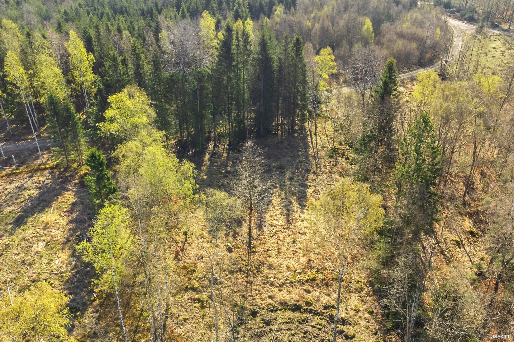 Tomt, Bygg drömboendet i Eket – med naturen som närmsta granne, Eket, Örkelljunga