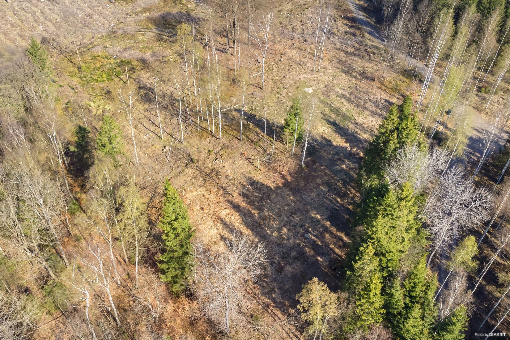 Tomt, Bygg drömboendet i Eket – med naturen som närmsta granne, Eket, Örkelljunga