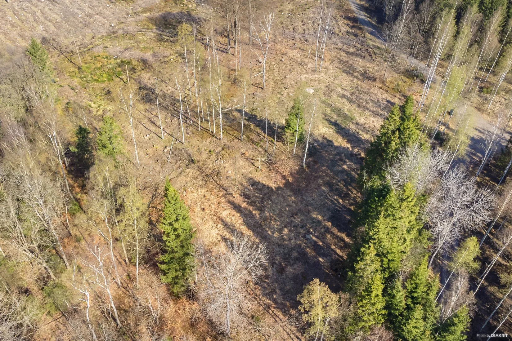 Tomt, Bygg drömboendet i Eket – med naturen som närmsta granne, Eket, Örkelljunga