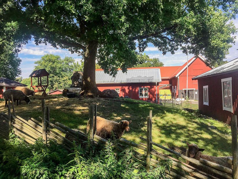 Bostadsrätt, Ulvsättragränd 1, Kallhäll, Järfälla