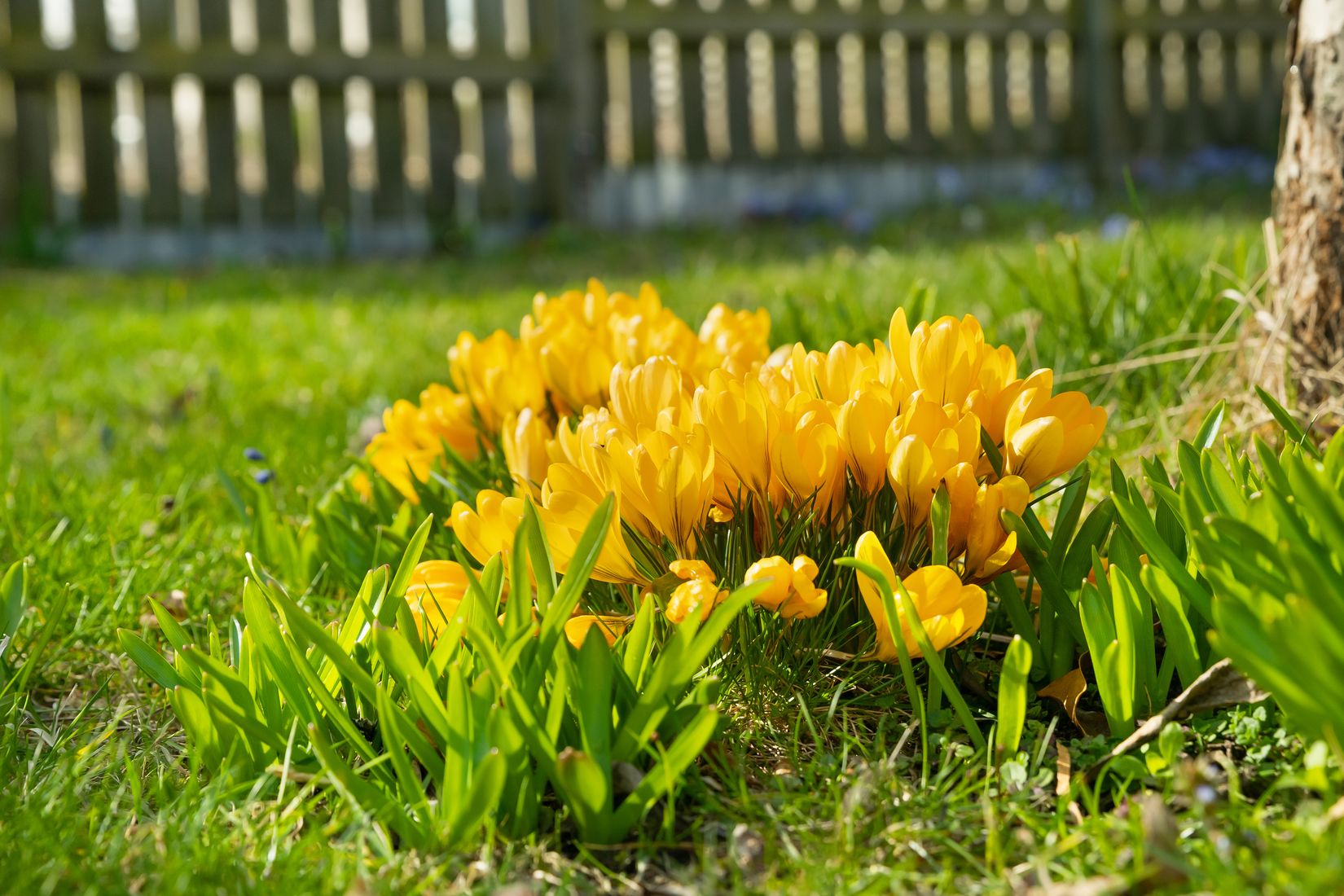 Villa, Sjögatan 25 B, Centrala Åhus, Kristianstad