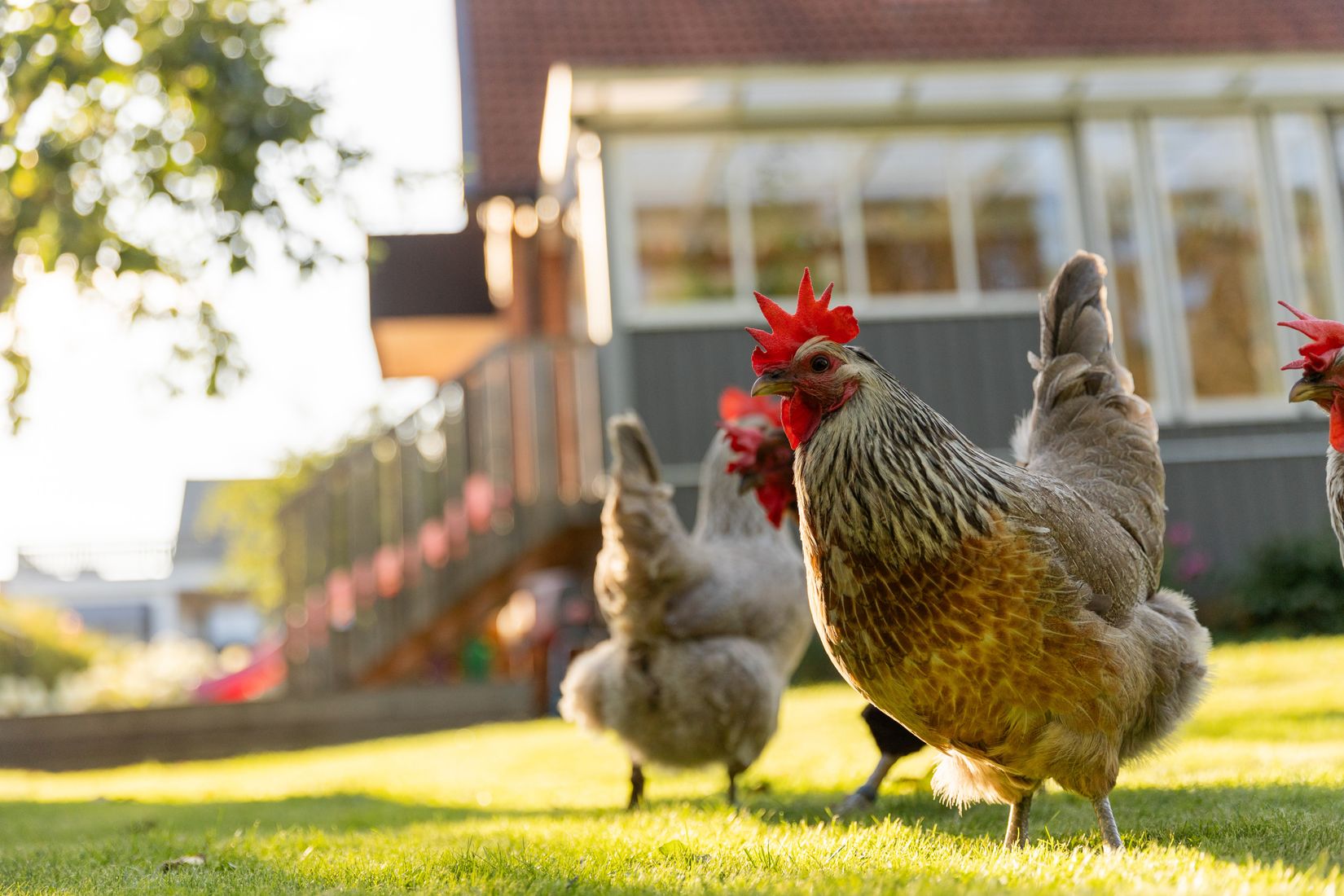 Villa, Mossvägen 11, Hentorp, Skövde