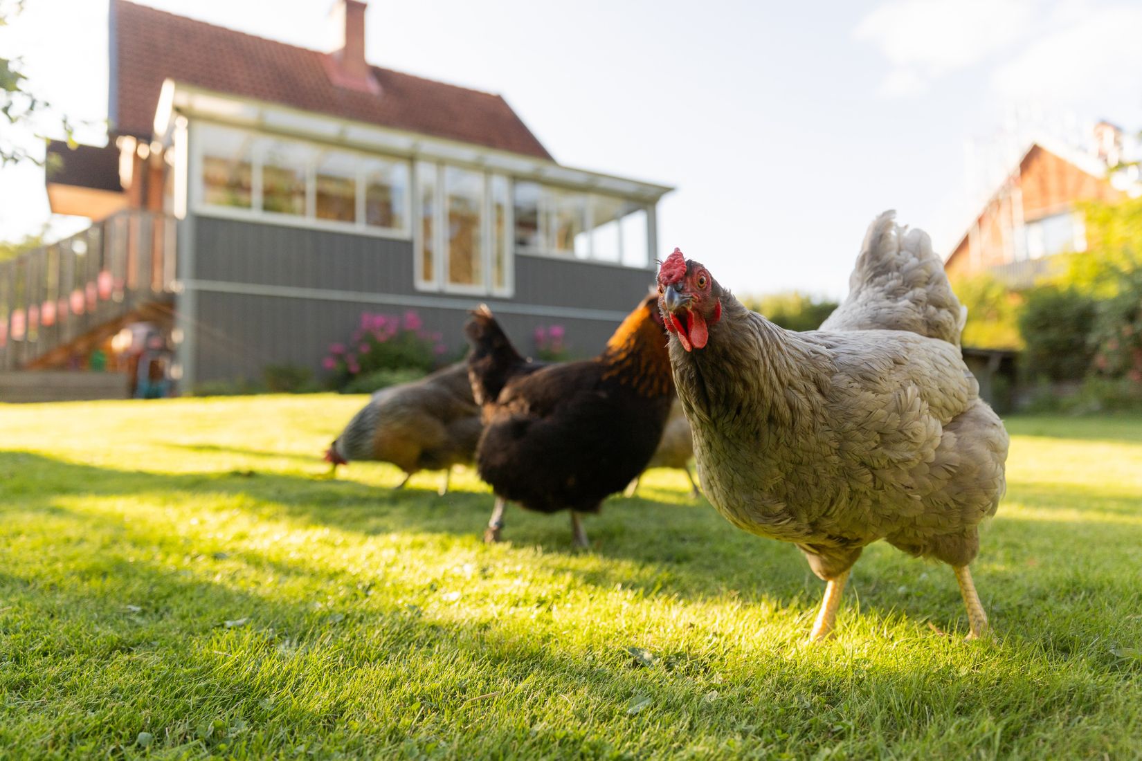 Villa, Mossvägen 11, Hentorp, Skövde