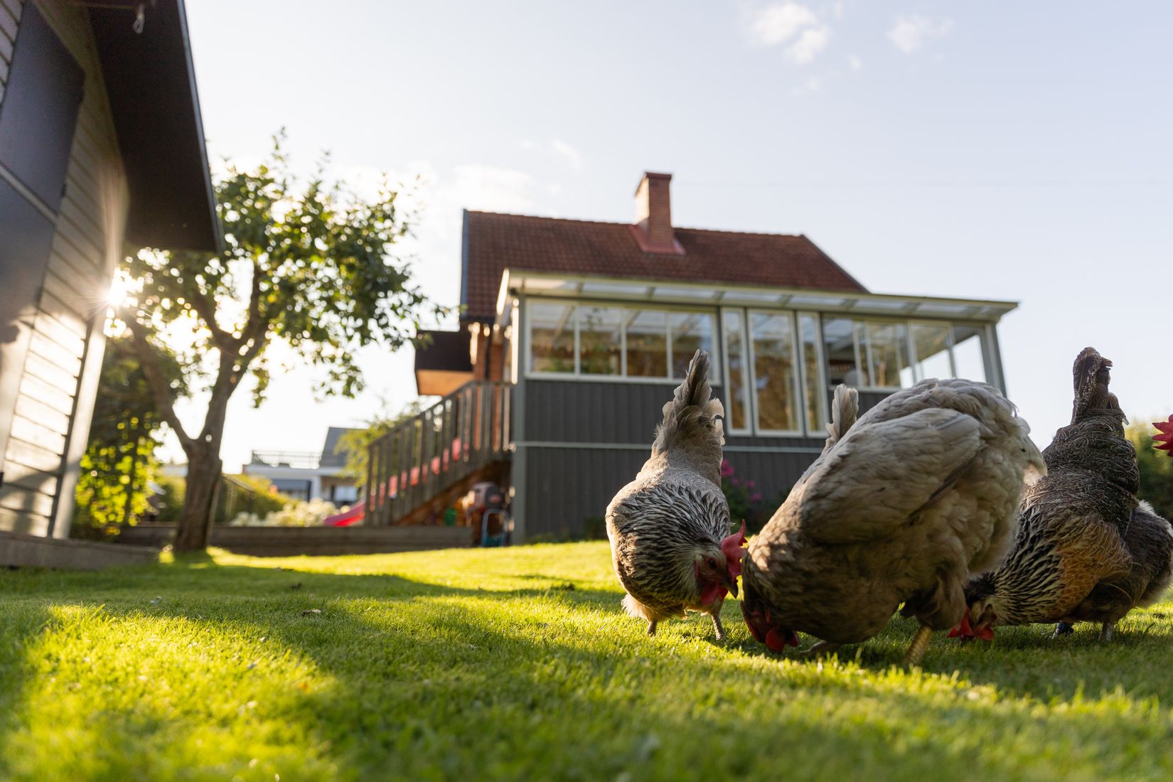 Villa, Mossvägen 11, Hentorp, Skövde