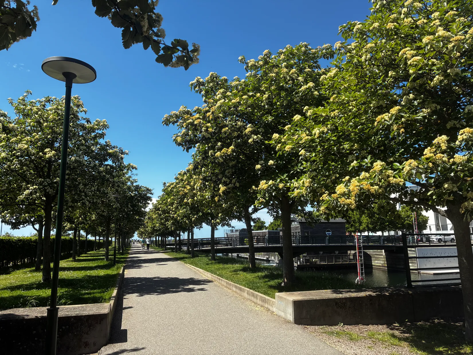 Bostadsrätt, Stora Varvsgatan 35D, Västra Hamnen, Malmö