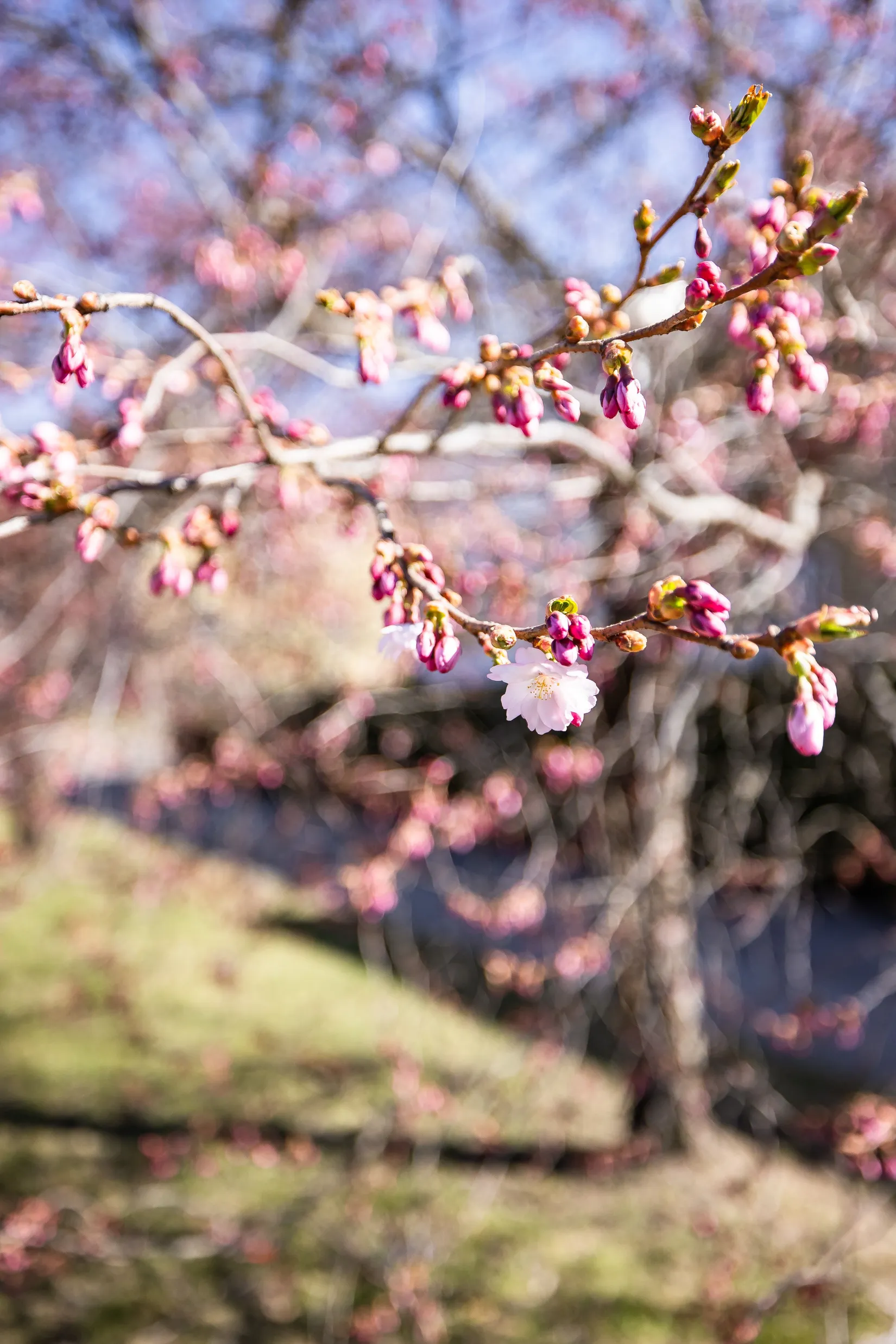 Bostadsrätt, Lenngrensgatan 19, Övre Nyfors, Eskilstuna
