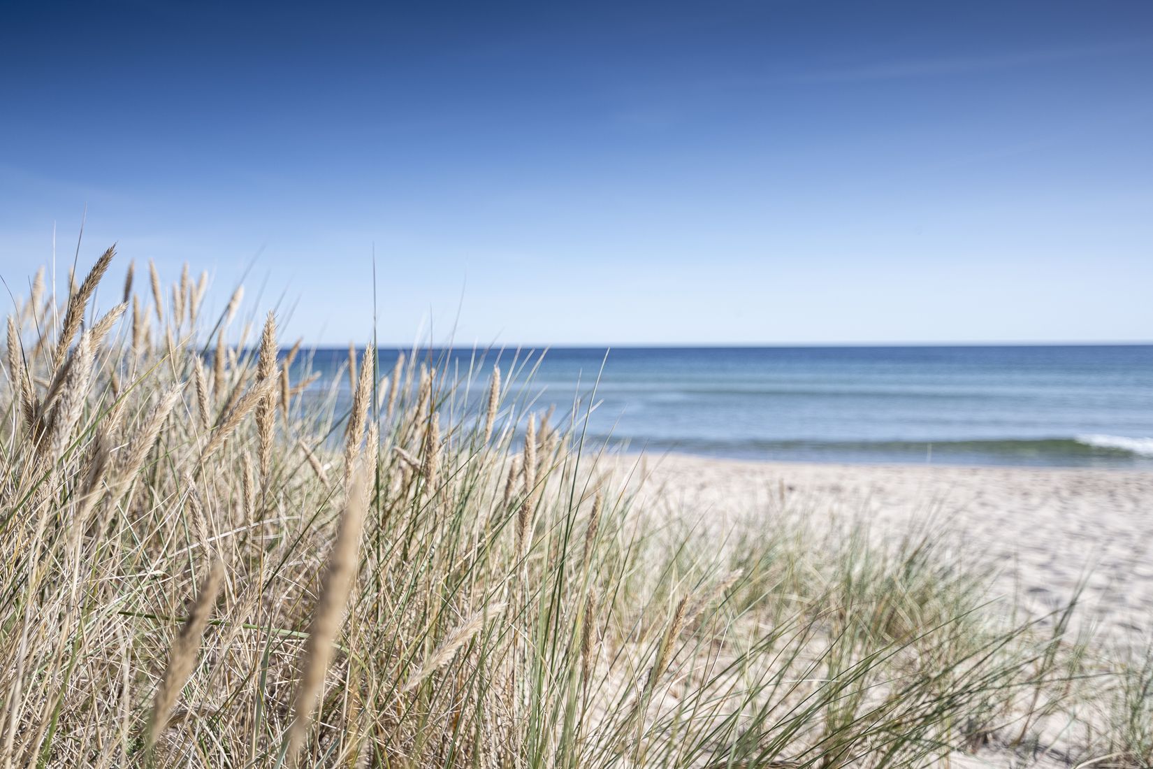 Tomt, Strandvägen 49B, Äspet, Kristianstad