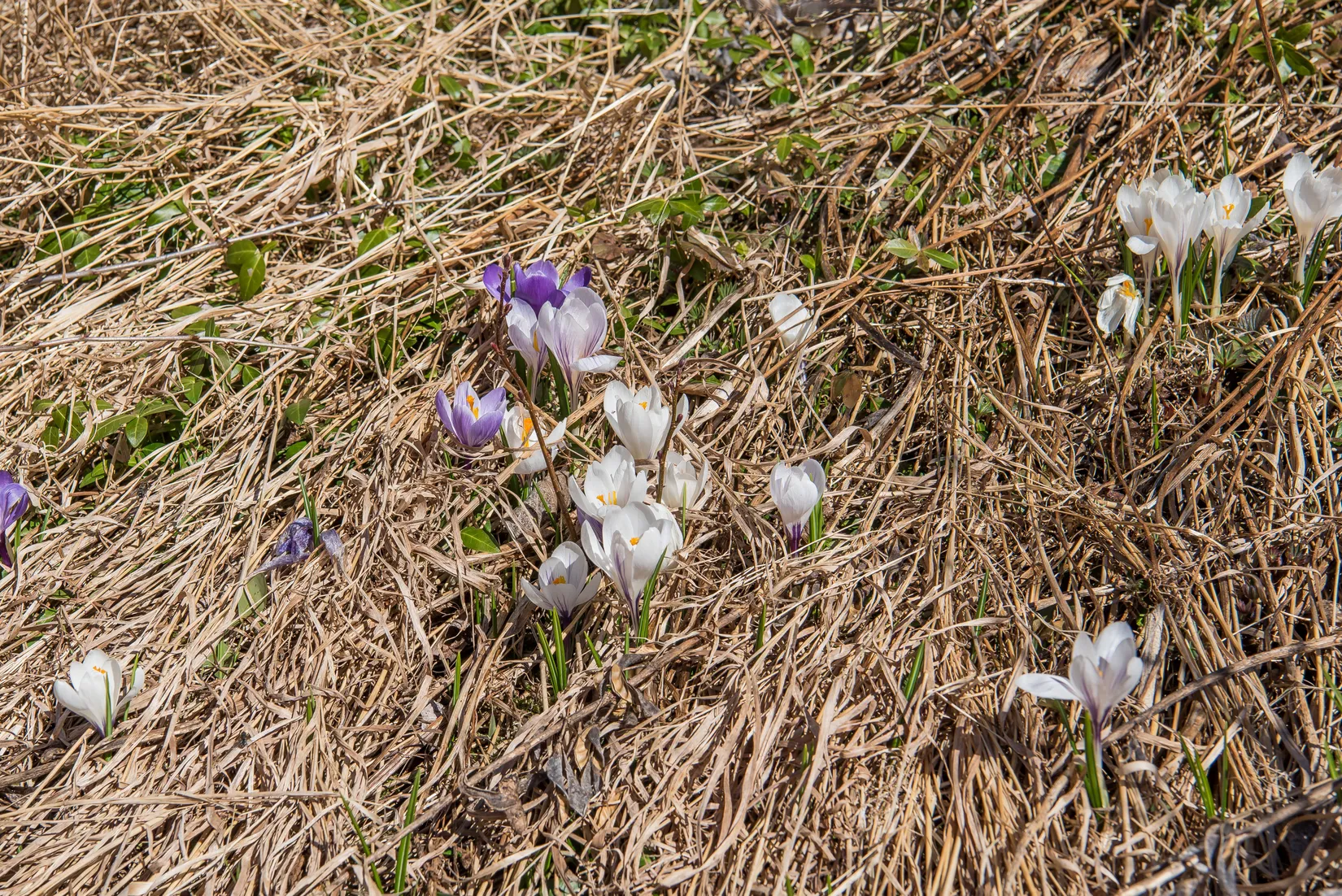 Fritidshus, Bjurberget 32, Finnskogen, Torsby