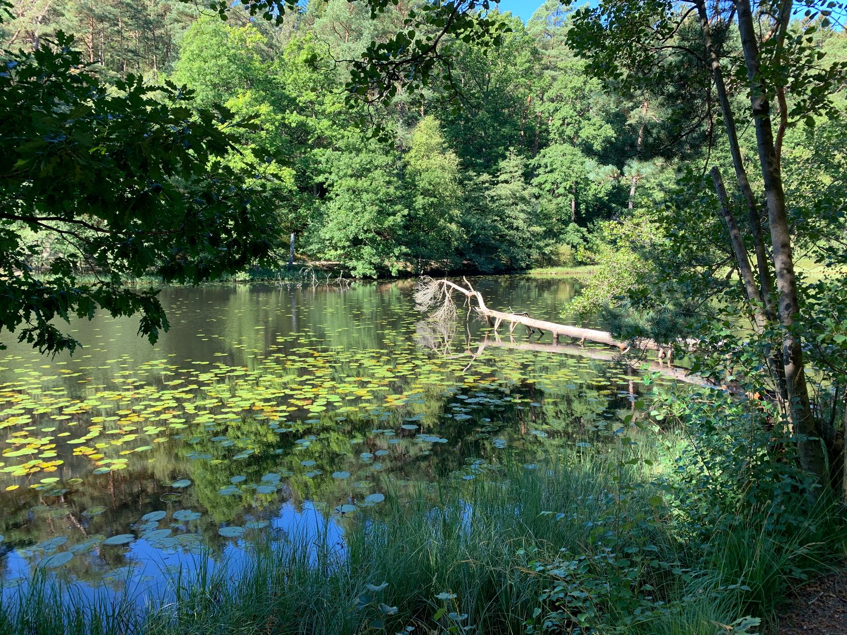 Bostadsrätt, Gunnestorpsvägen 119, Tuve, Göteborg