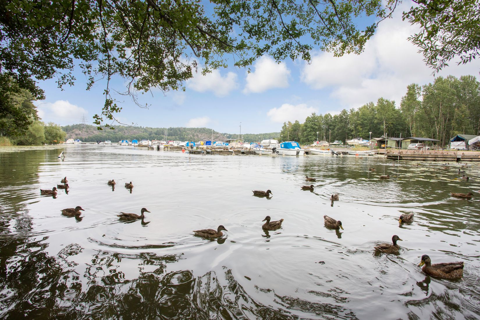 Bostadsrätt, Lagmansbacken 11 BV, Alby - Norsborg, Botkyrka