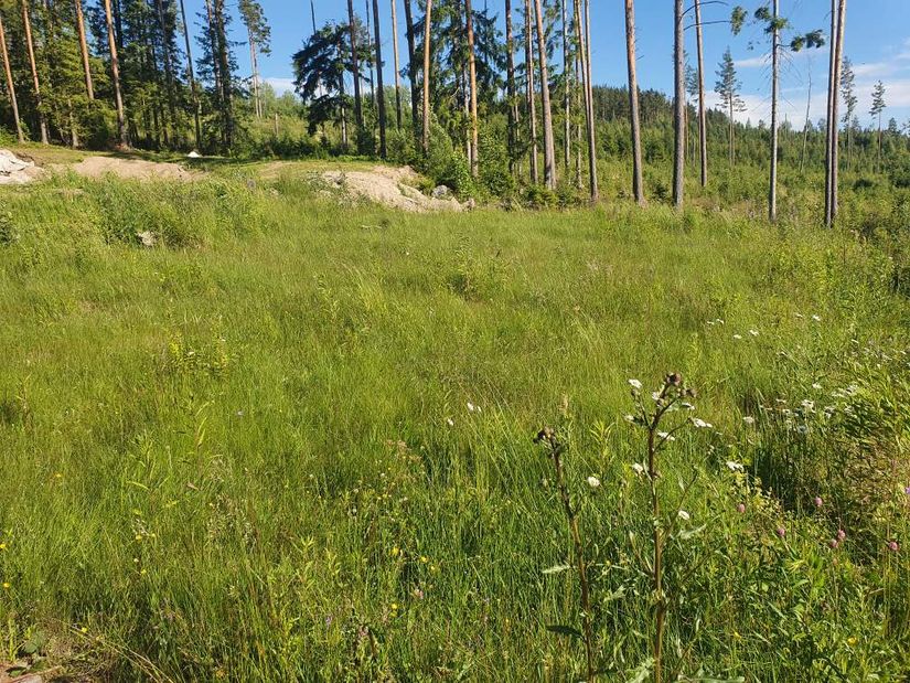 Tomt, Sandfallet 105, Lindesberg