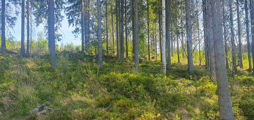 Tomt, Sandfallet 105, Lindesberg