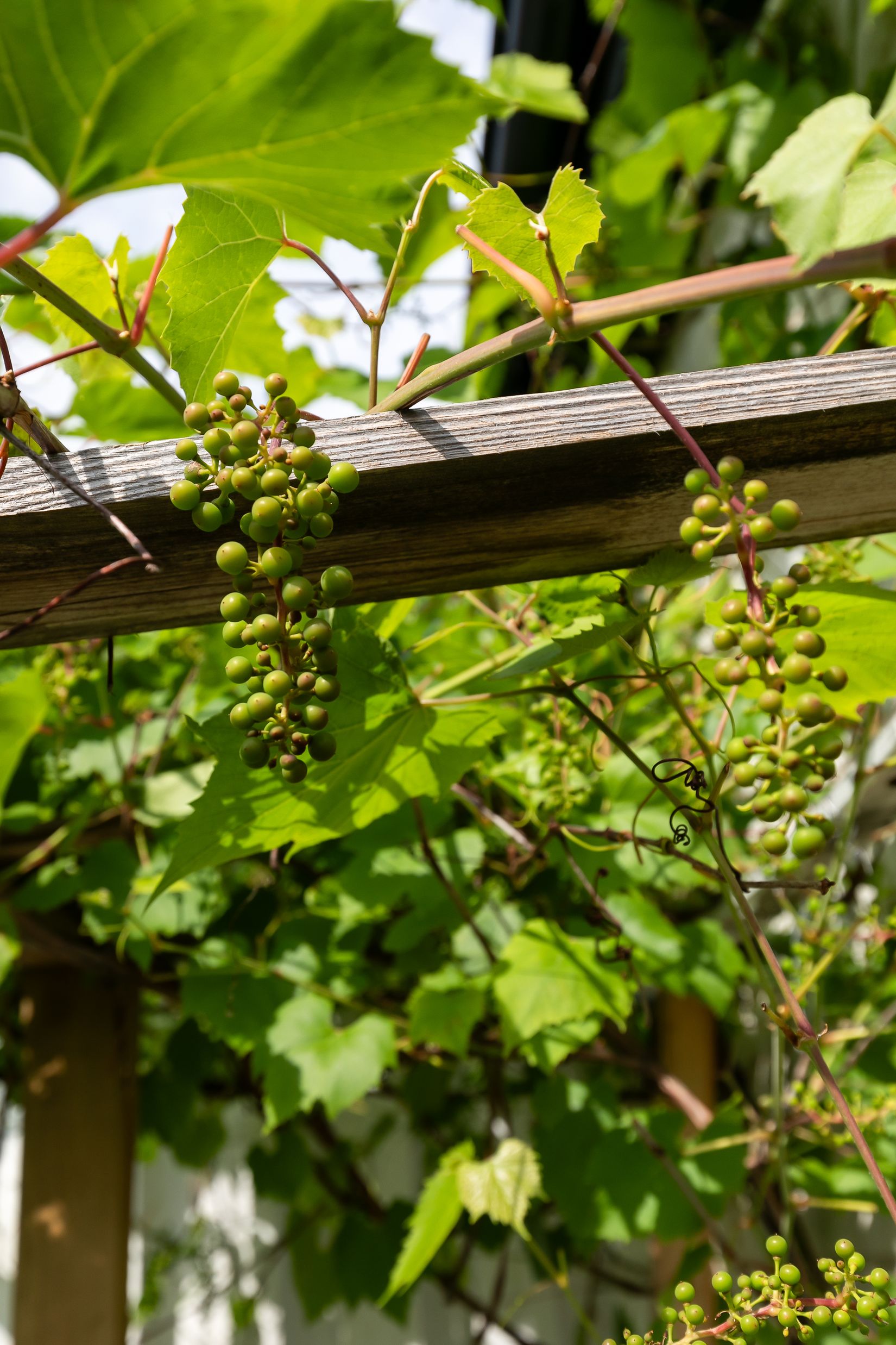 Villa, Begoniagatan 10, Mellringe, Örebro