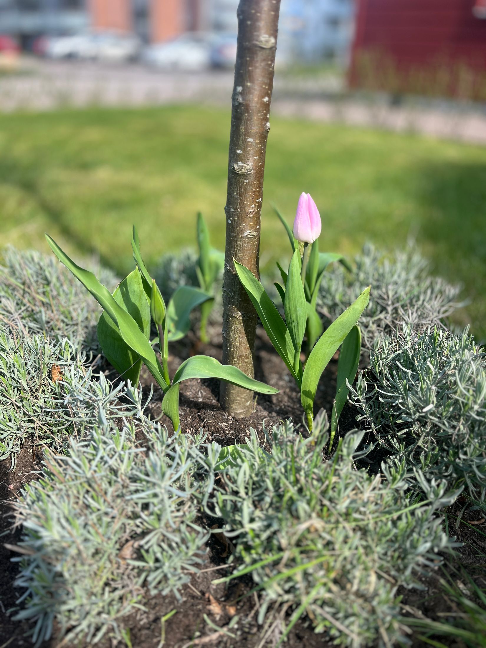 Bostadsrätt, Krikonslingan 2C, Hemmeslöv, Båstad