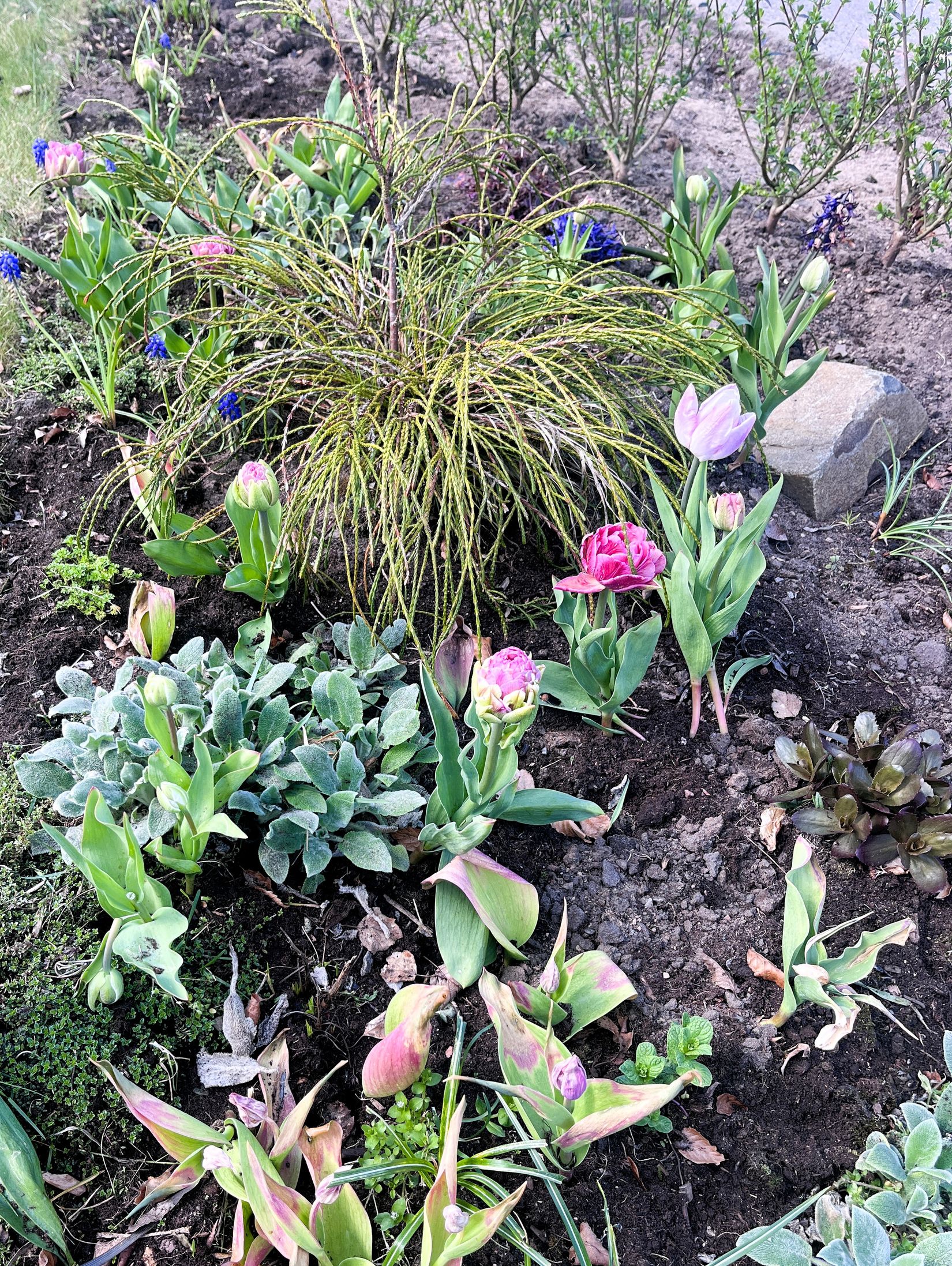 Bostadsrätt, Krikonslingan 2C, Hemmeslöv, Båstad