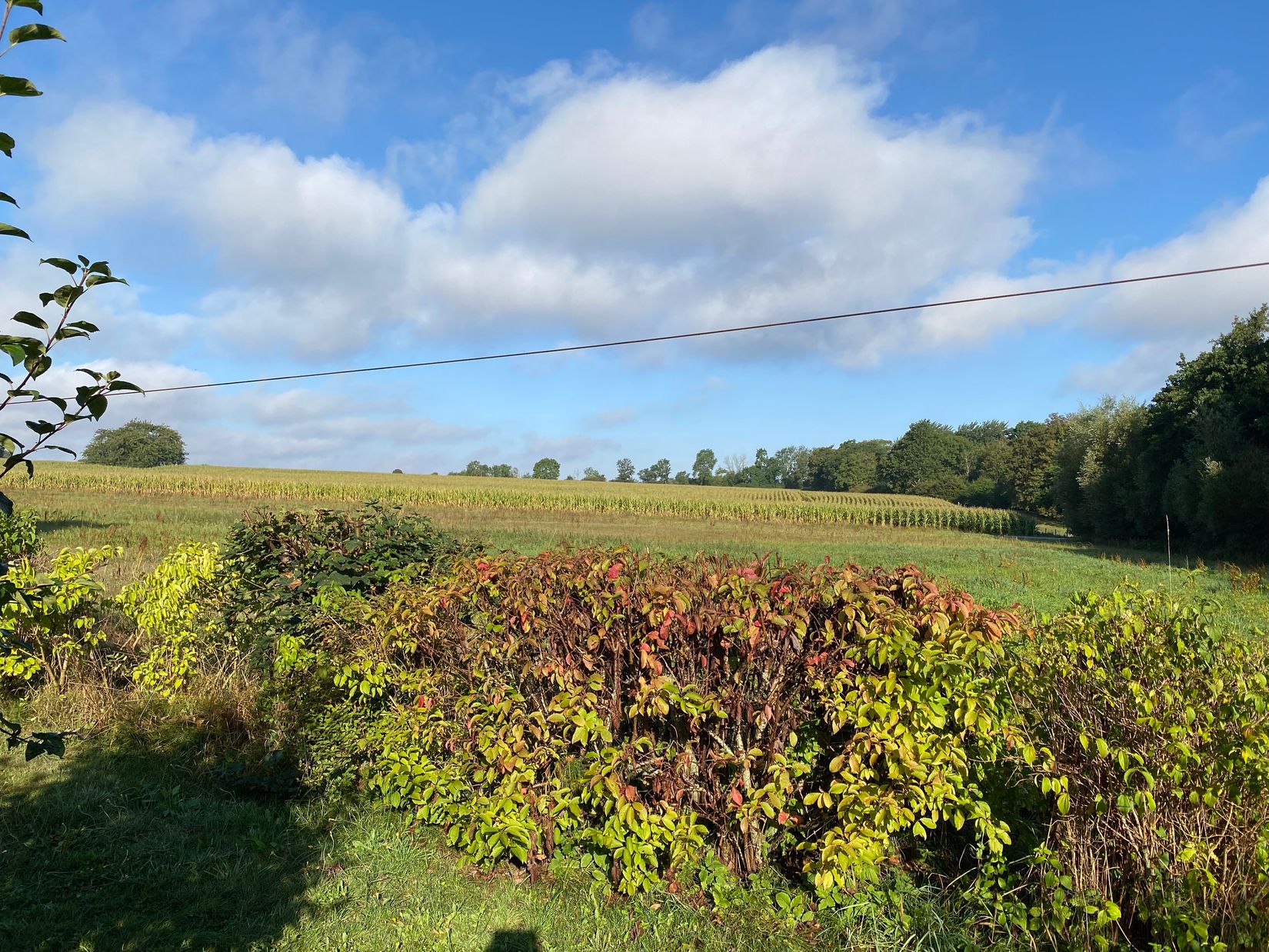 Villa, Kyhls Skogs väg 13, Kyhls strand, Simrishamn