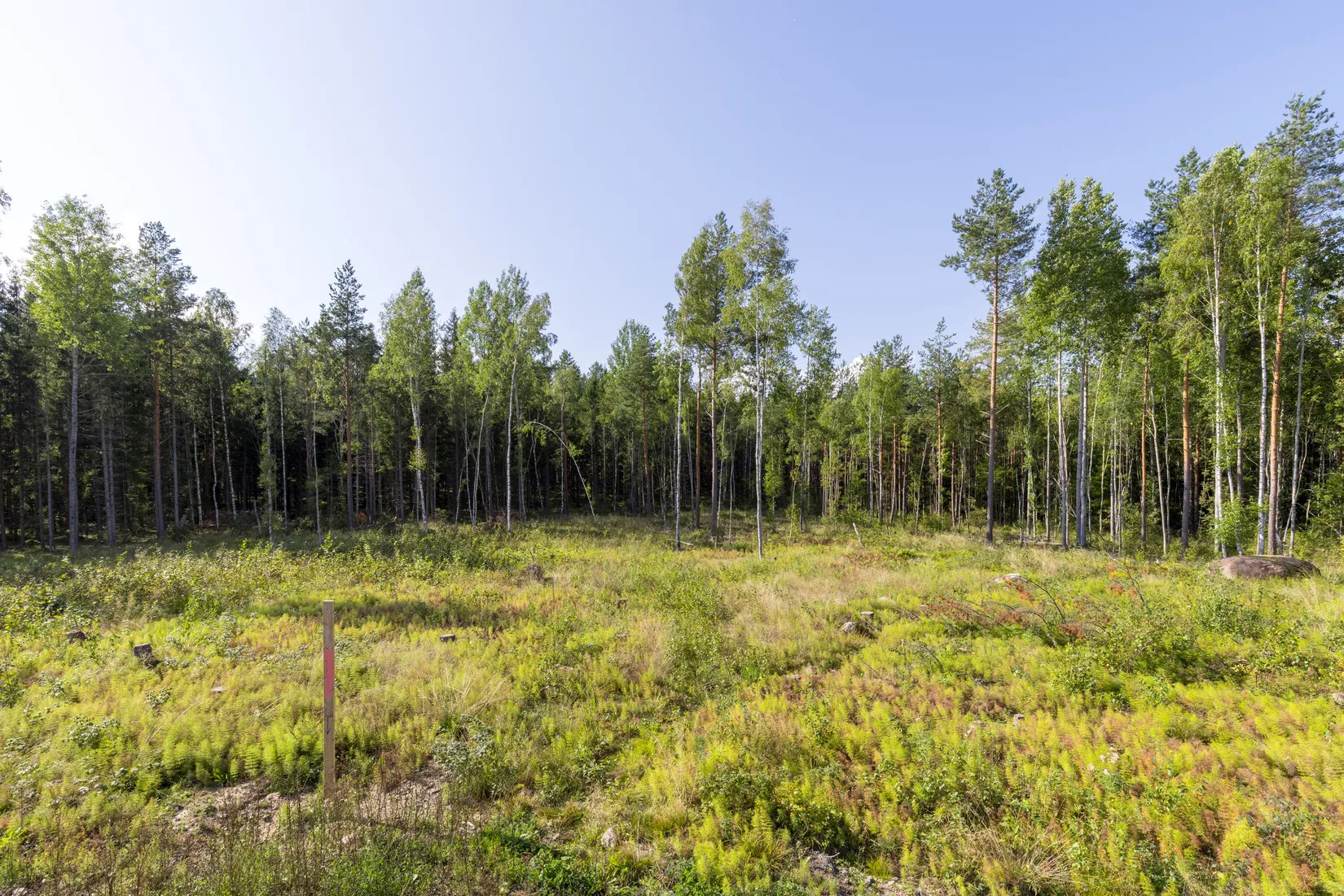 Tomt, Norrskogsbacken 3, Bro Sjöhagen, Upplands-Bro