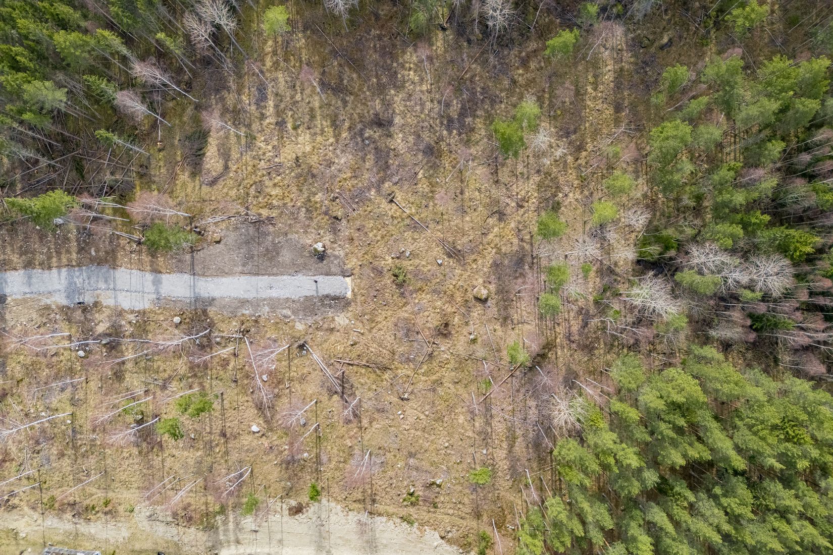 Tomt, Norrskogsbacken 3, Bro Sjöhagen, Upplands-Bro