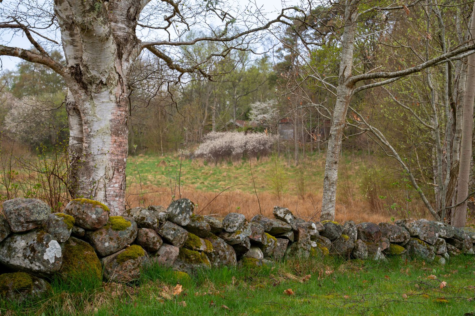 Villa, Kleva skog 111, Hakenäset, Tjörn