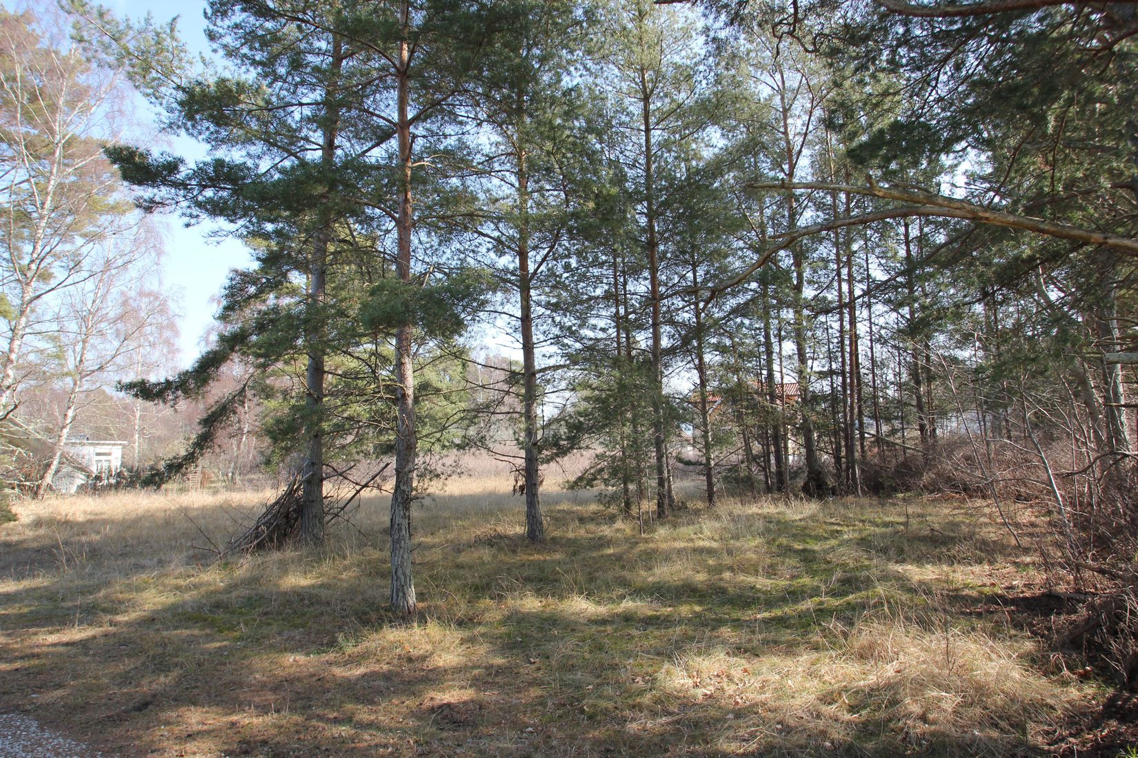 Tomt, Solmyrvägen 2, Gnisvärd - Västra Gotland, Gotland