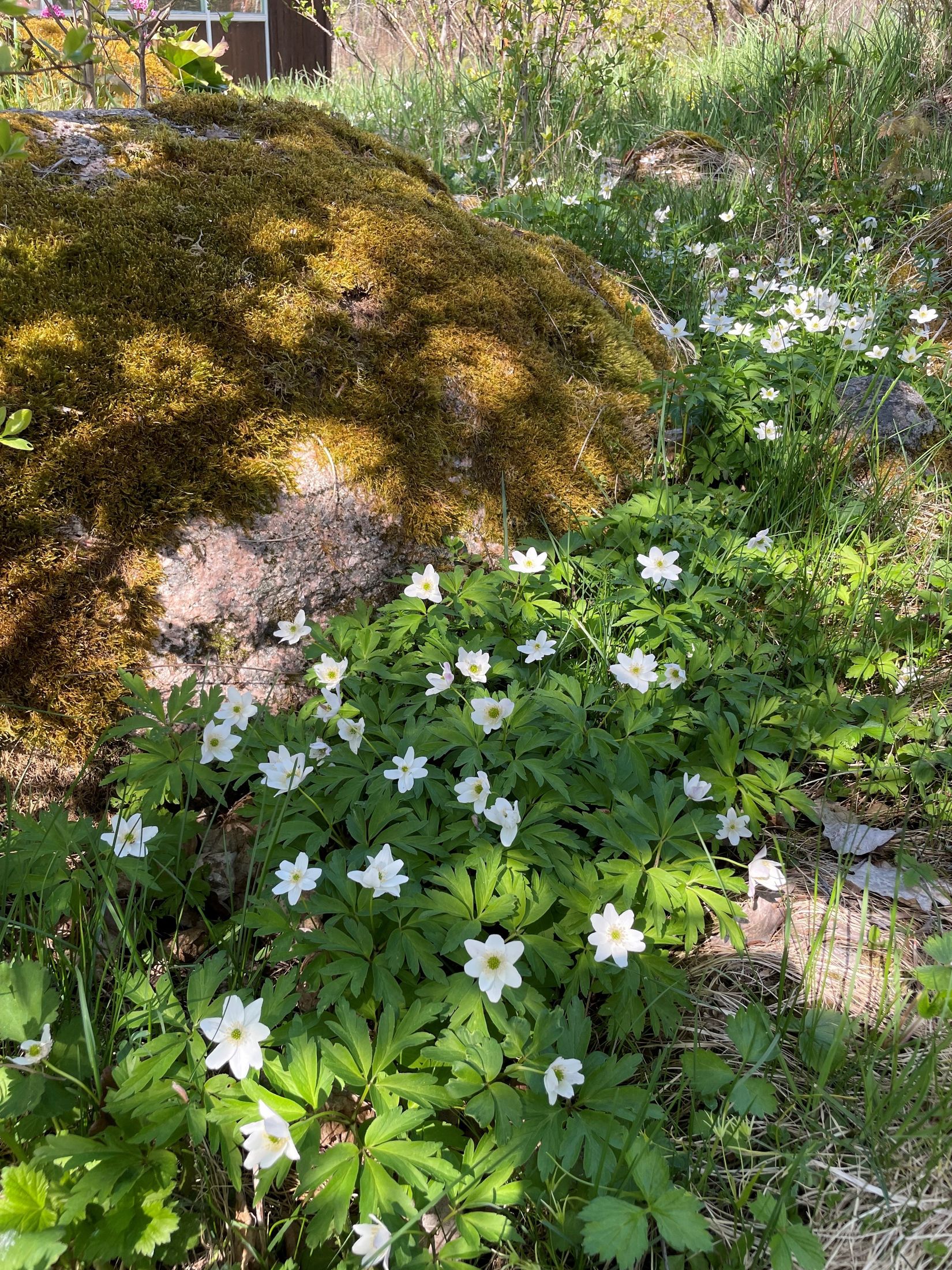 Tomt, Kvisslingbyvägen 25B, Kvisslingby, Österåker