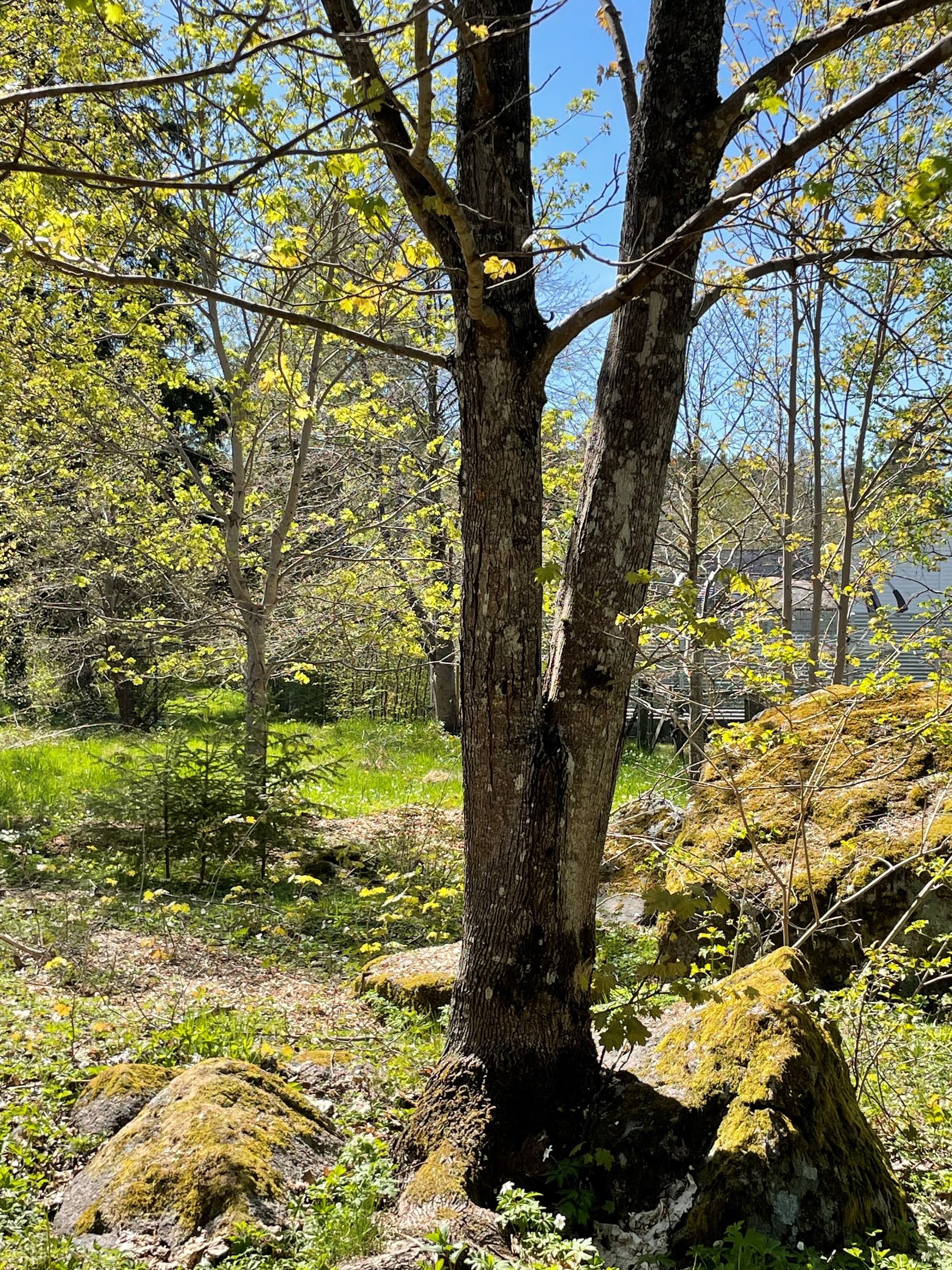 Tomt, Kvisslingbyvägen 25B, Kvisslingby, Österåker