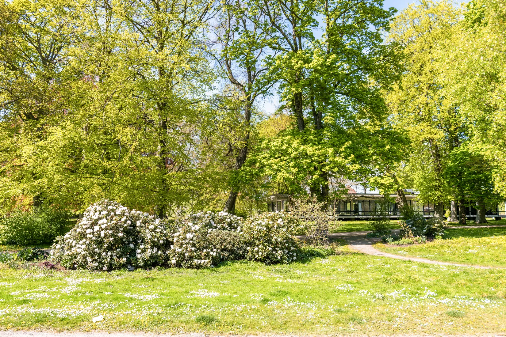 Bostadsrätt, Parkgatan 8E, Landskrona - Centrum / Citadellet, Landskrona