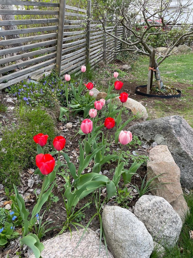 Villa, Florettvägen 16, Margretelund, Österåker