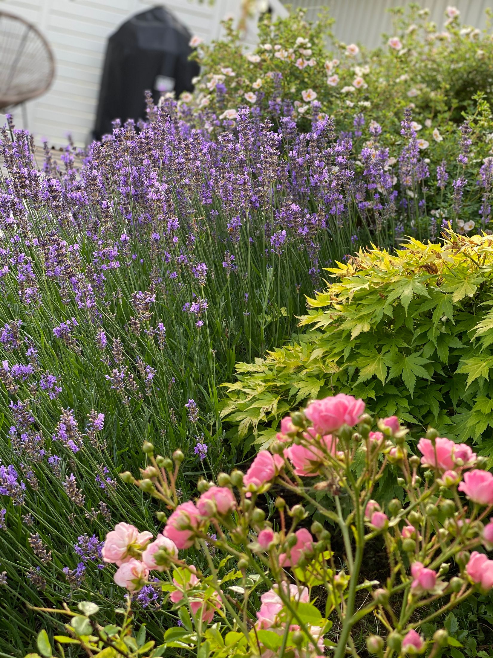 Villa, Florettvägen 16, Margretelund, Österåker