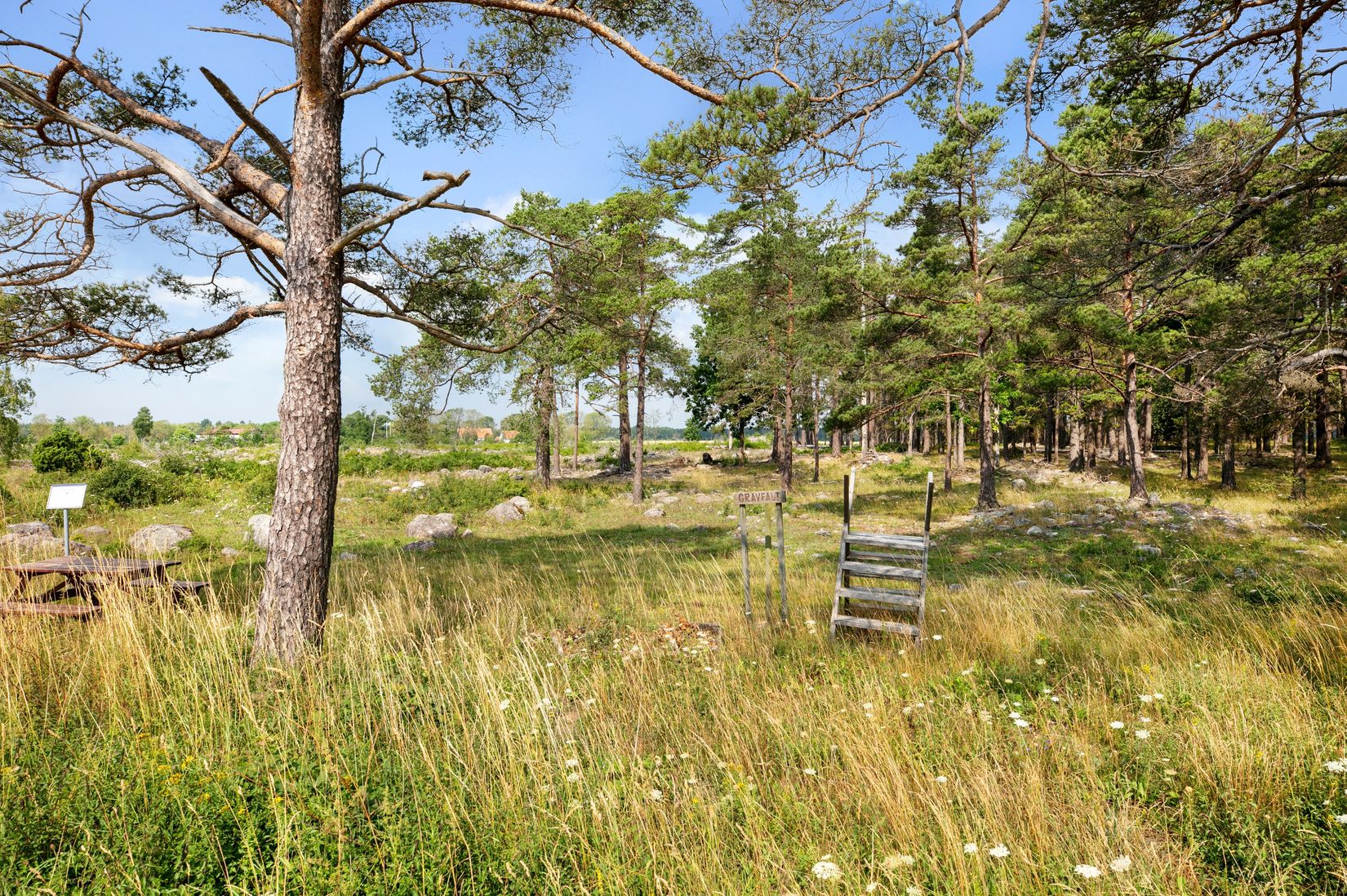 Övrigt, Väte Mölner 835, Väte  - Mellersta Gotland, Gotland