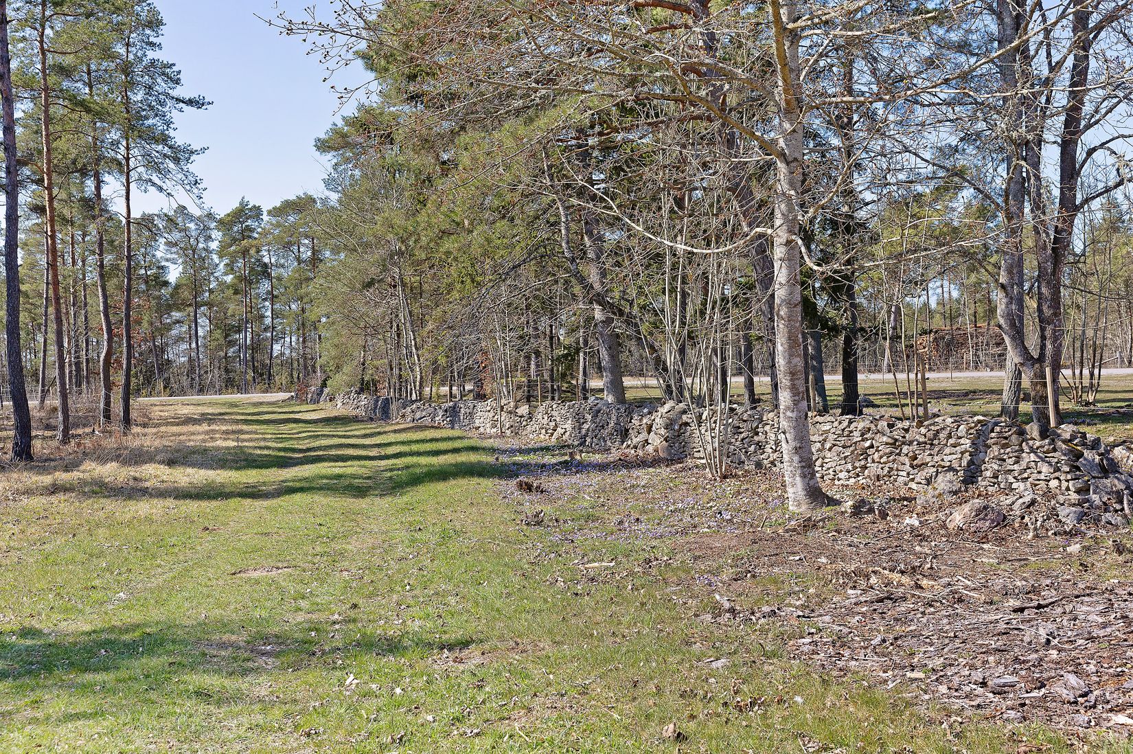 Övrigt, Väte Mölner 835, Väte  - Mellersta Gotland, Gotland