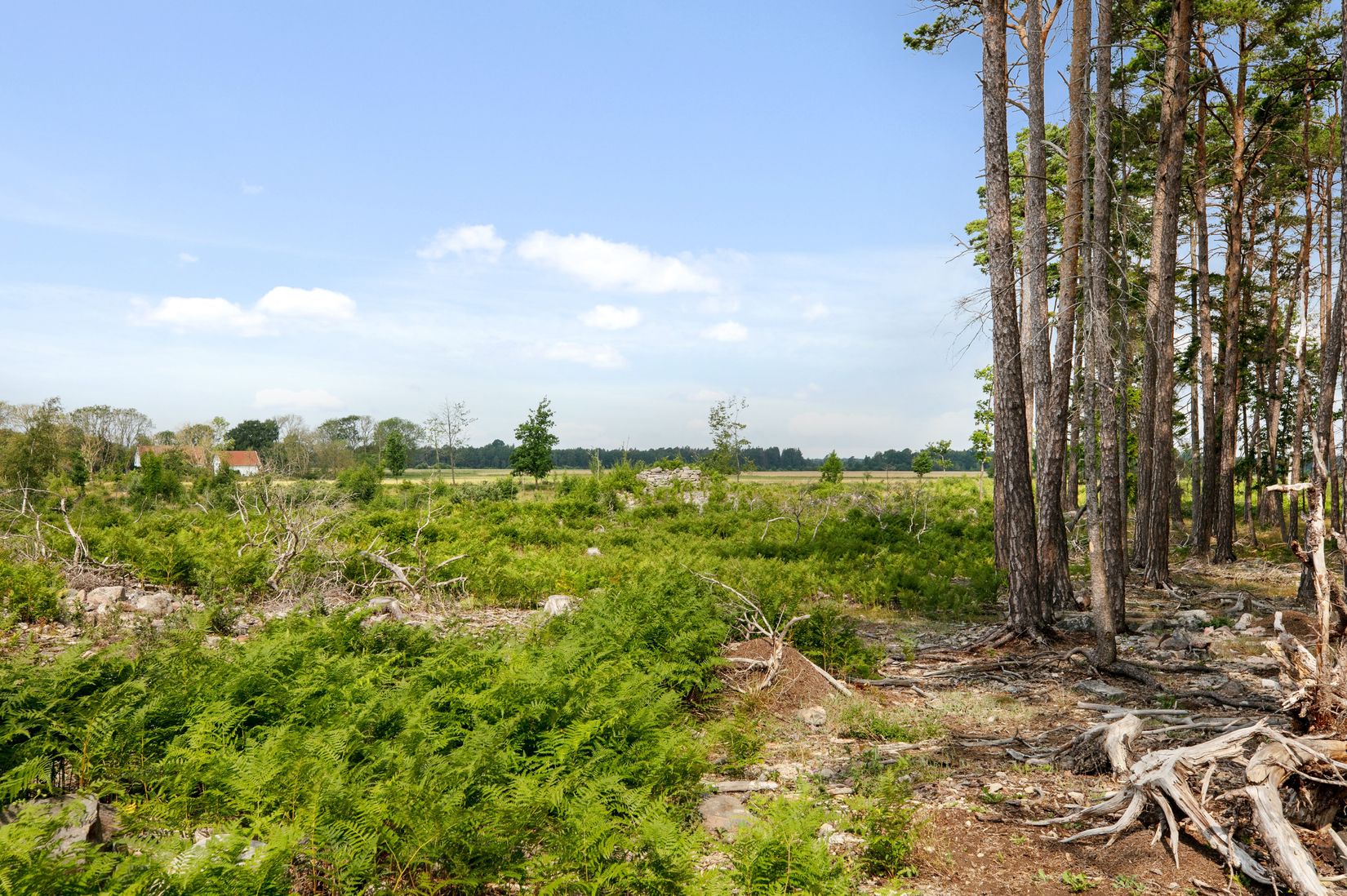 Övrigt, Väte Mölner 835, Väte  - Mellersta Gotland, Gotland