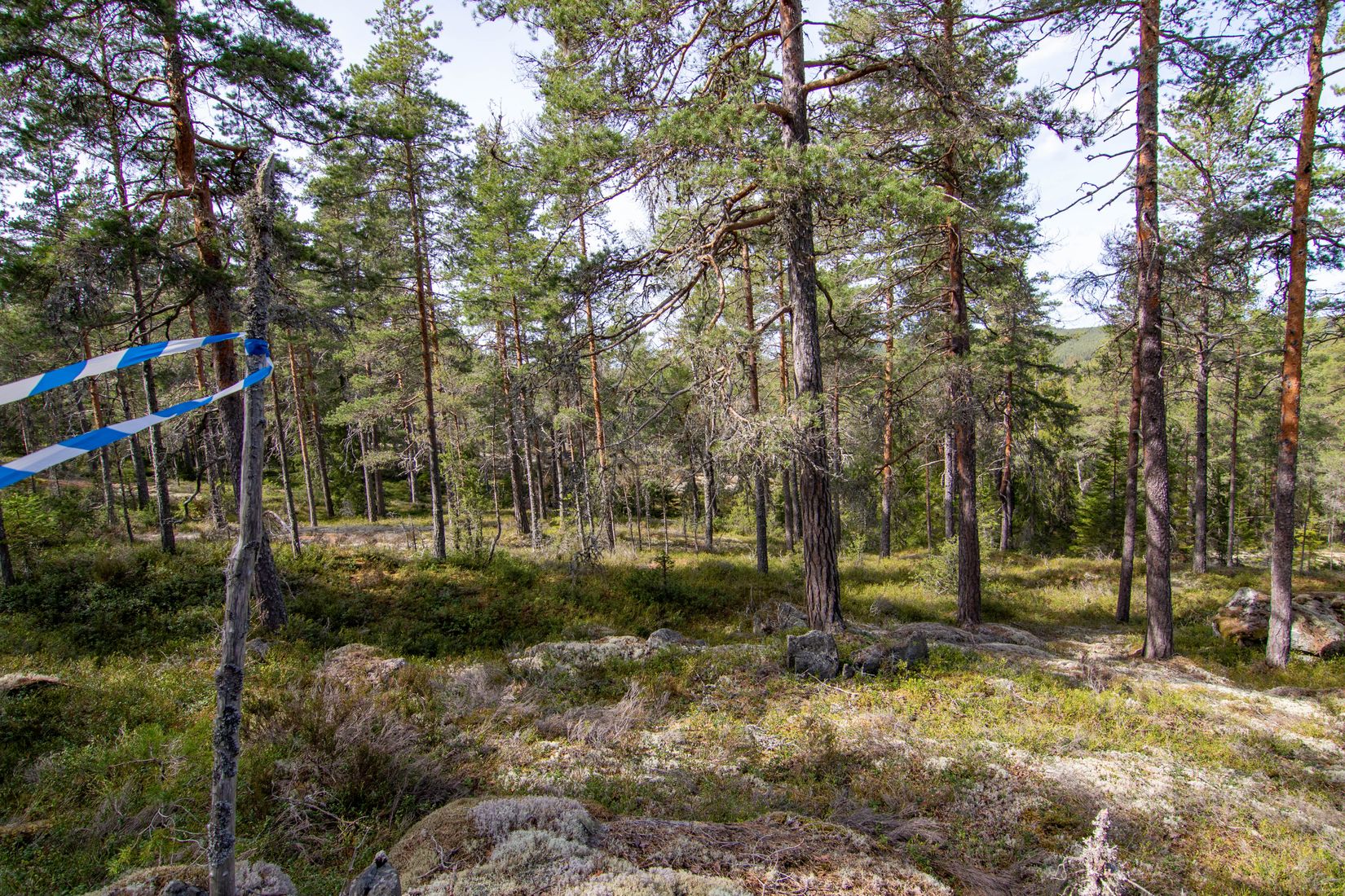Gård/Skog, Öjedalen, Glava, Arvika