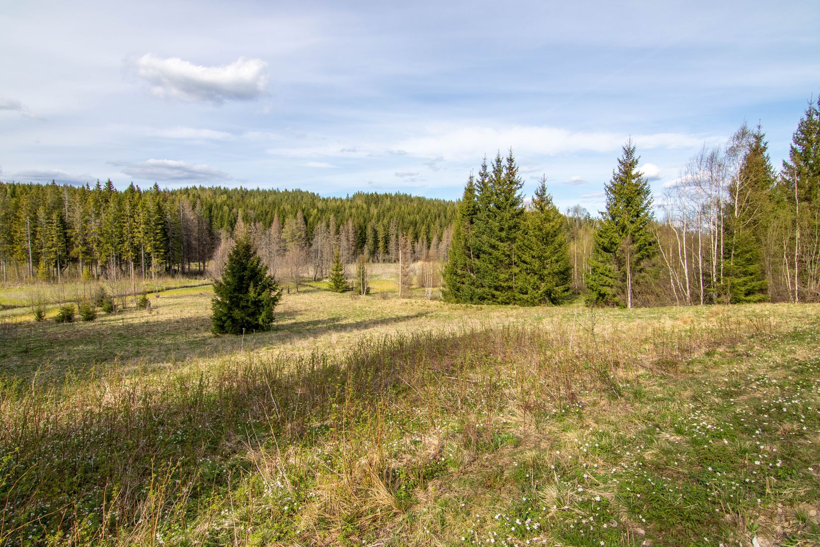 Gård/Skog, Öjedalen, Glava, Arvika