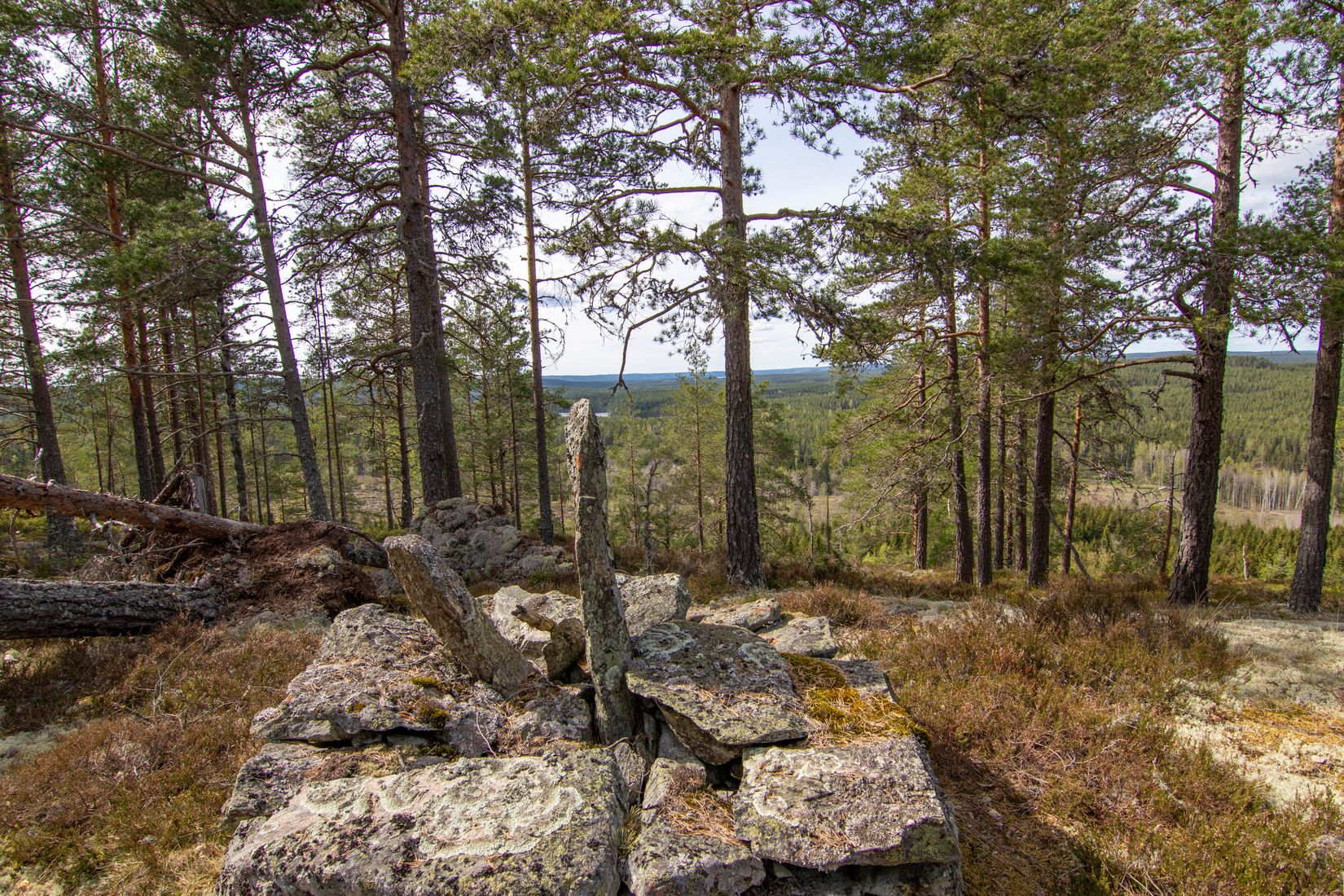 Gård/Skog, Öjedalen, Glava, Arvika