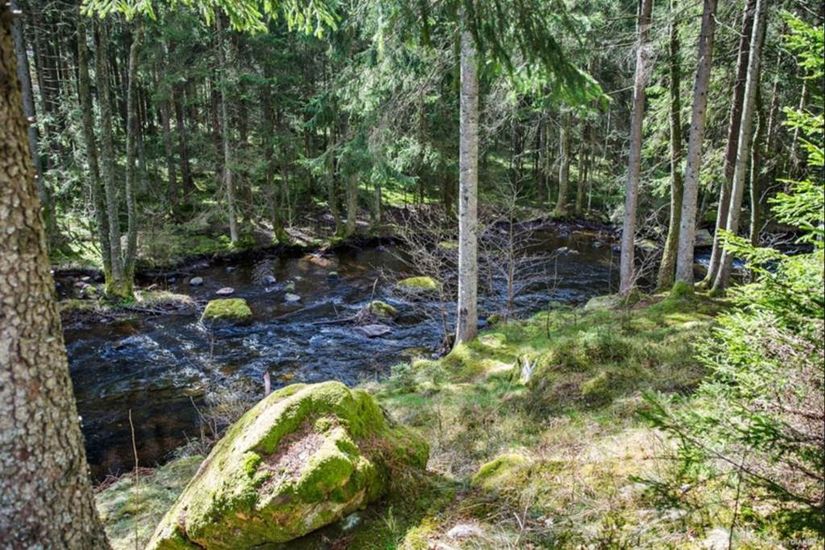 Fritidshus, Hindås grönhultsväg 47, Härryda