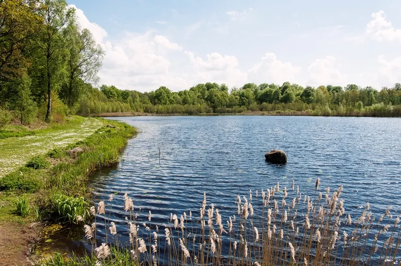 Bostadsrätt, Korsaröds Sjöpark 42, Korsaröd, Höör